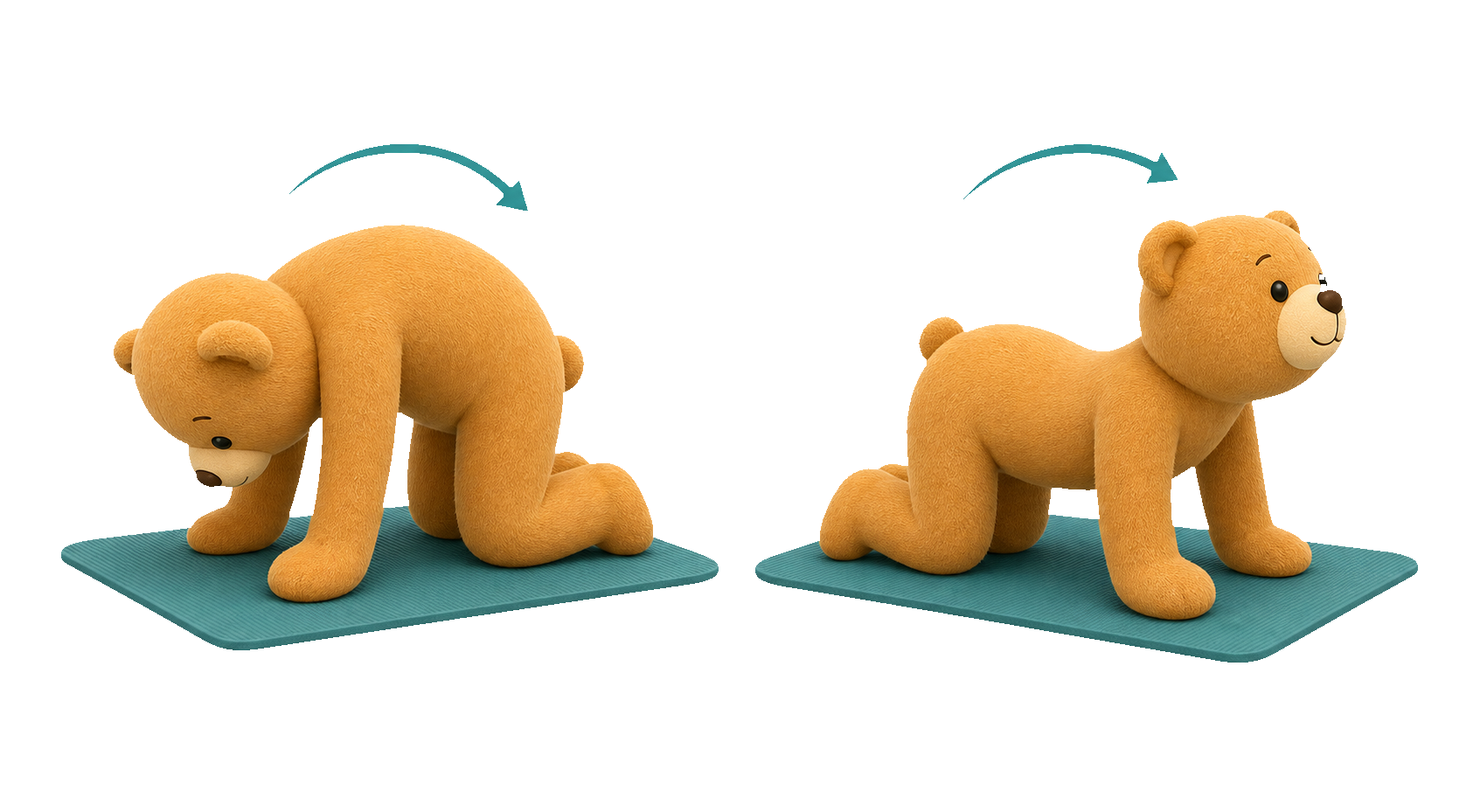 캣 카우 스트레칭 동작